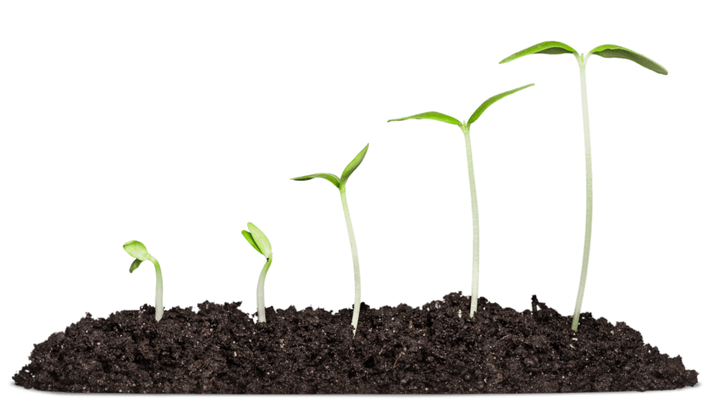 Ontkiemen tot sponsoring